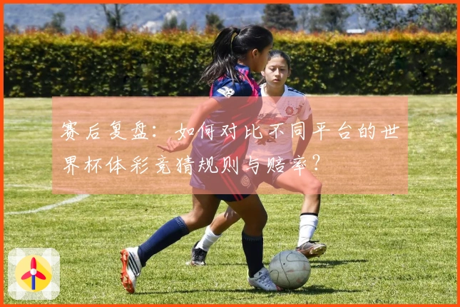 赛后复盘：如何对比不同平台的世界杯体彩竞猜规则与赔率？