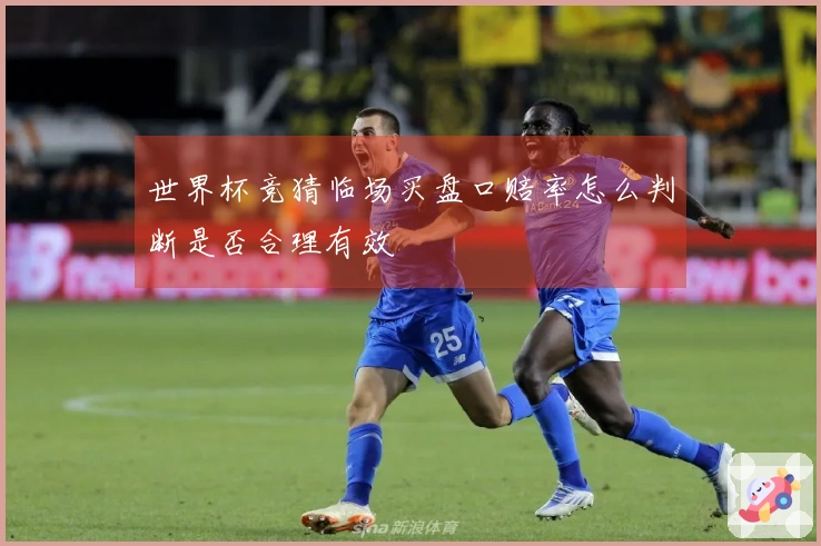 世界杯竞猜临场买盘口赔率怎么判断是否合理有效