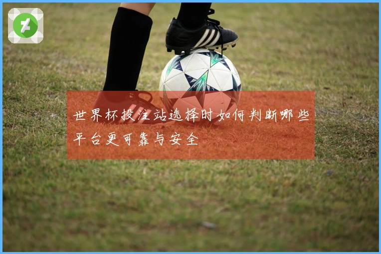 世界杯投注站选择时如何判断哪些平台更可靠与安全