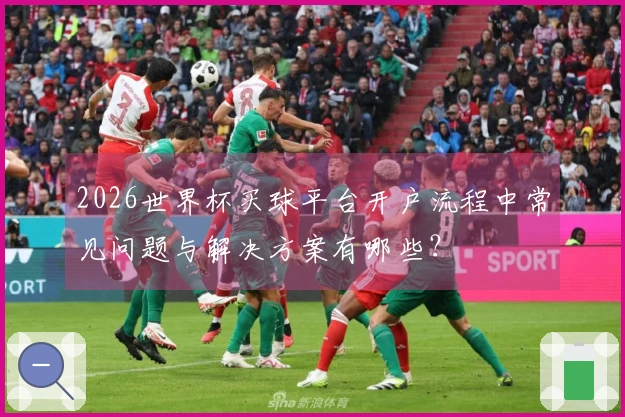2026世界杯买球平台开户流程中常见问题与解决方案有哪些？