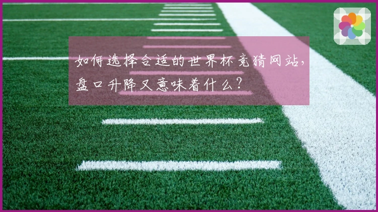 如何选择合适的世界杯竞猜网站，盘口升降又意味着什么？