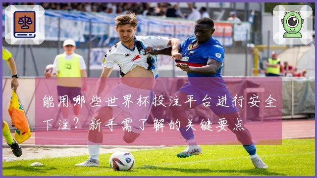 能用哪些世界杯投注平台进行安全下注？新手需了解的关键要点