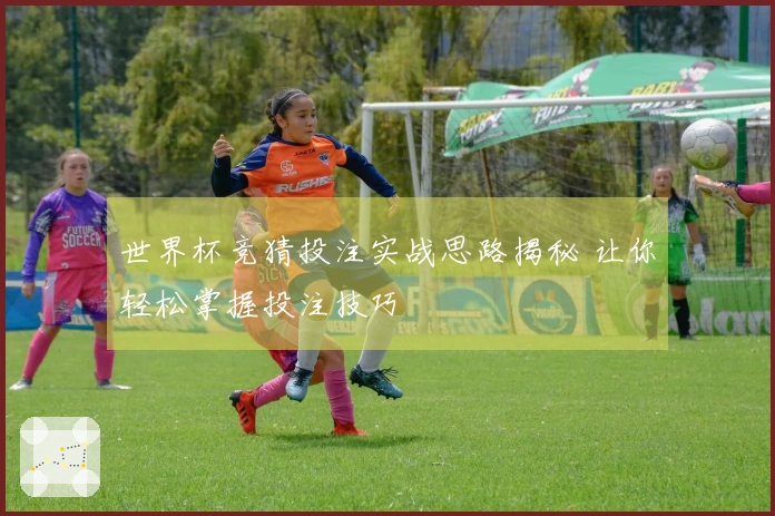 世界杯竞猜投注实战思路揭秘 让你轻松掌握投注技巧