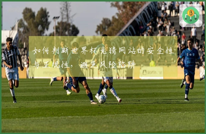 如何判断世界杯竞猜网站的安全性与正规性，避免风险陷阱