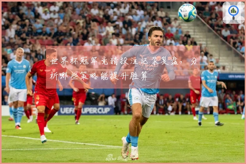 世界杯冠军竞猜投注记录复盘，分析哪些策略能提升胜算