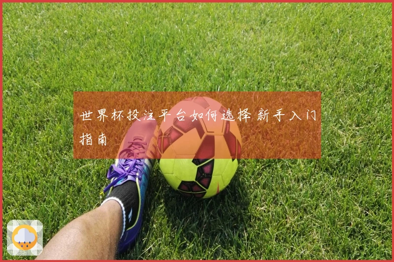 世界杯投注平台如何选择 新手入门指南