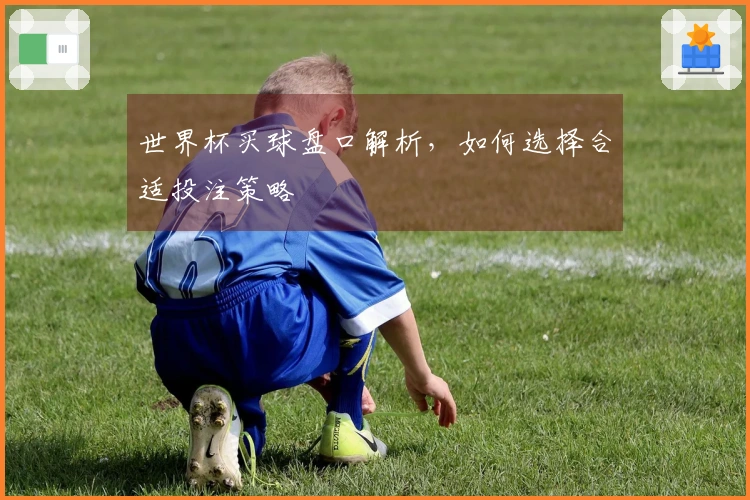 世界杯买球盘口解析，如何选择合适投注策略