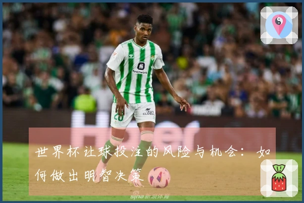 世界杯让球投注的风险与机会：如何做出明智决策