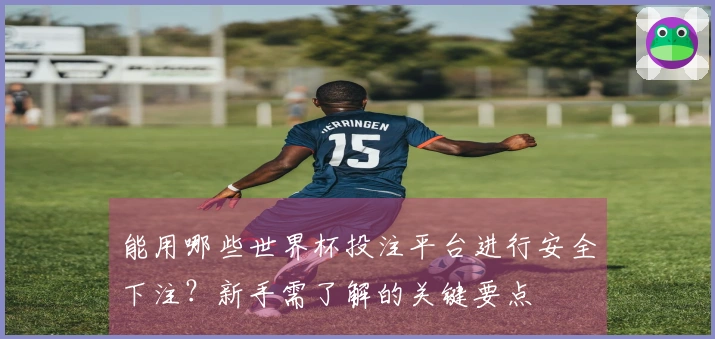 能用哪些世界杯投注平台进行安全下注？新手需了解的关键要点