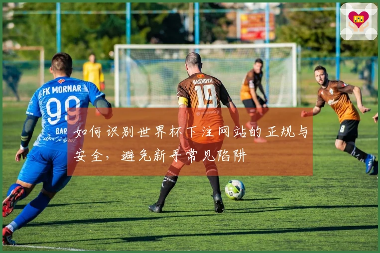如何识别世界杯下注网站的正规与安全，避免新手常见陷阱