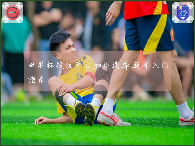 世界杯投注平台如何选择 新手入门指南