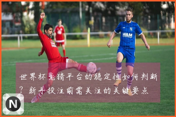 世界杯竞猜平台的稳定性如何判断？新手投注前需关注的关键要点