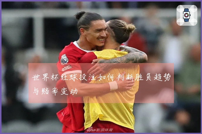 世界杯让球投注如何判断胜负趋势与赔率变动
