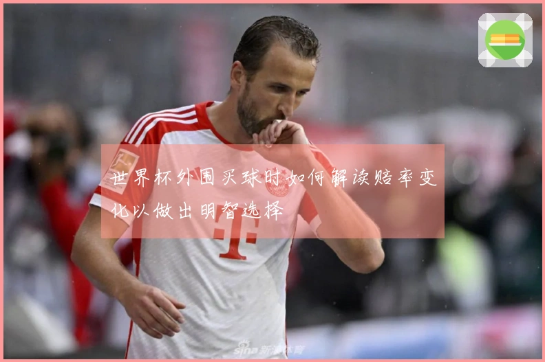 世界杯外围买球时如何解读赔率变化以做出明智选择