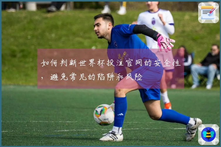 如何判断世界杯投注官网的安全性，避免常见的陷阱和风险