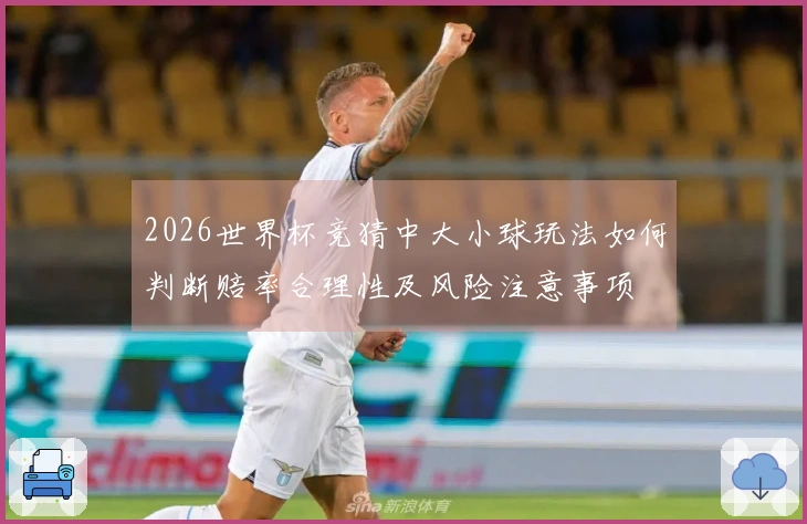 2026世界杯竞猜中大小球玩法如何判断赔率合理性及风险注意事项