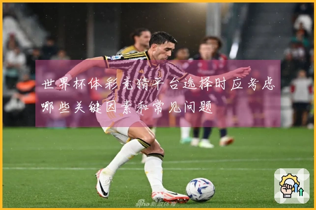 世界杯体彩竞猜平台选择时应考虑哪些关键因素和常见问题