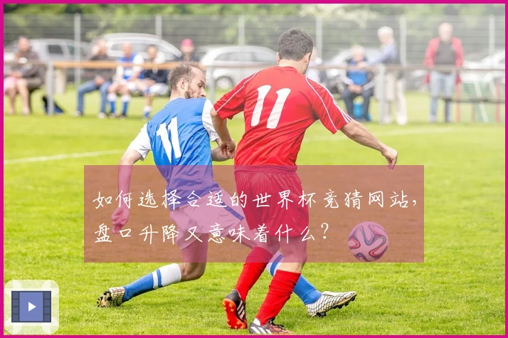 如何选择合适的世界杯竞猜网站，盘口升降又意味着什么？