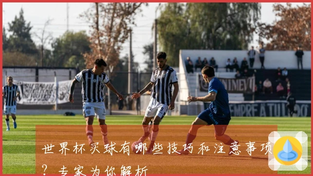 世界杯买球有哪些技巧和注意事项？专家为你解析
