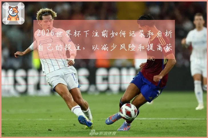 2026世界杯下注前如何记录和分析自己的投注，以减少风险和提高获胜概率