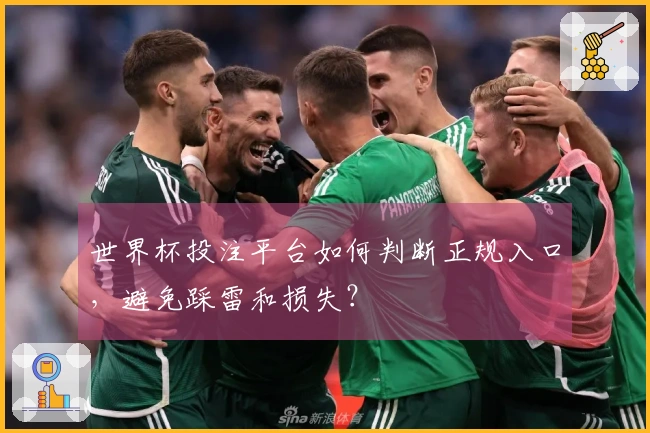 世界杯投注平台如何判断正规入口，避免踩雷和损失？