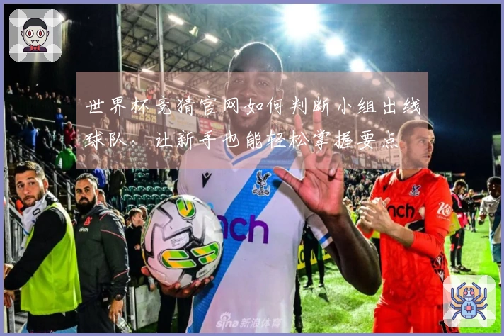 世界杯竞猜官网如何判断小组出线球队，让新手也能轻松掌握要点