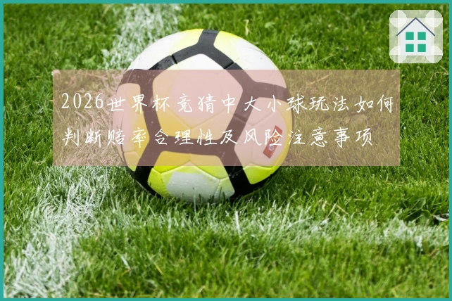 2026世界杯竞猜中大小球玩法如何判断赔率合理性及风险注意事项