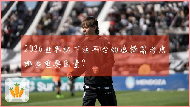 2026世界杯下注平台的选择需考虑哪些重要因素？