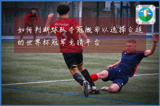 如何判断球队夺冠概率以选择合适的世界杯冠军竞猜平台