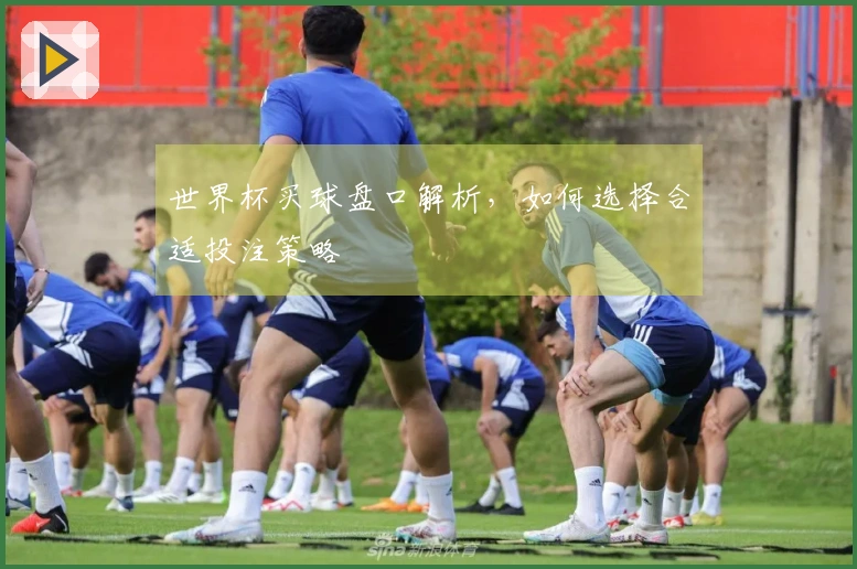 世界杯买球盘口解析，如何选择合适投注策略