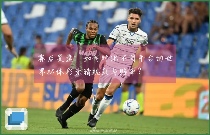 赛后复盘：如何对比不同平台的世界杯体彩竞猜规则与赔率？