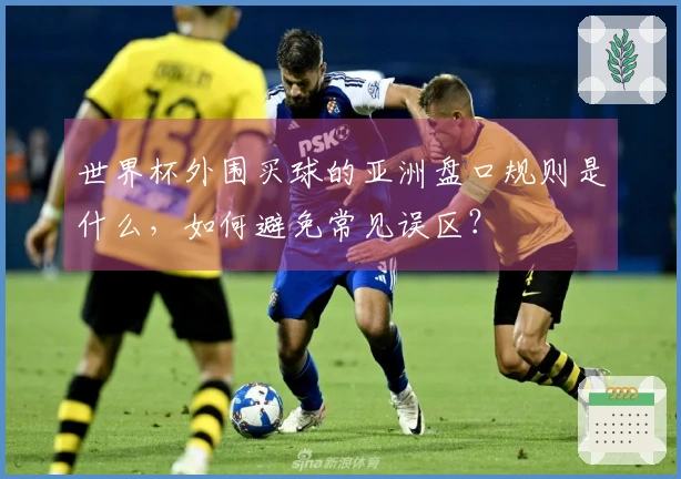 世界杯外围买球的亚洲盘口规则是什么，如何避免常见误区？