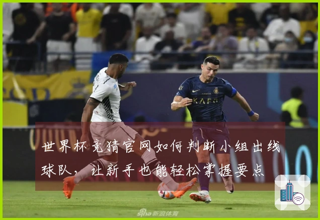 世界杯竞猜官网如何判断小组出线球队，让新手也能轻松掌握要点