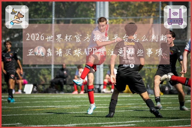 2026世界杯官方投注平台怎么判断正规靠谱买球APP该注意哪些事项