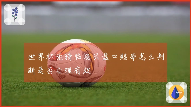 世界杯竞猜临场买盘口赔率怎么判断是否合理有效