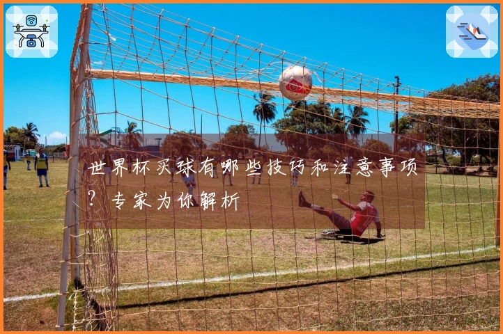 世界杯买球有哪些技巧和注意事项？专家为你解析